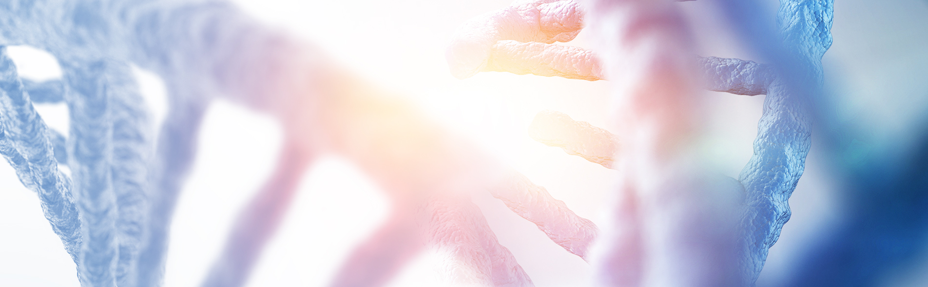 banner-aboutus