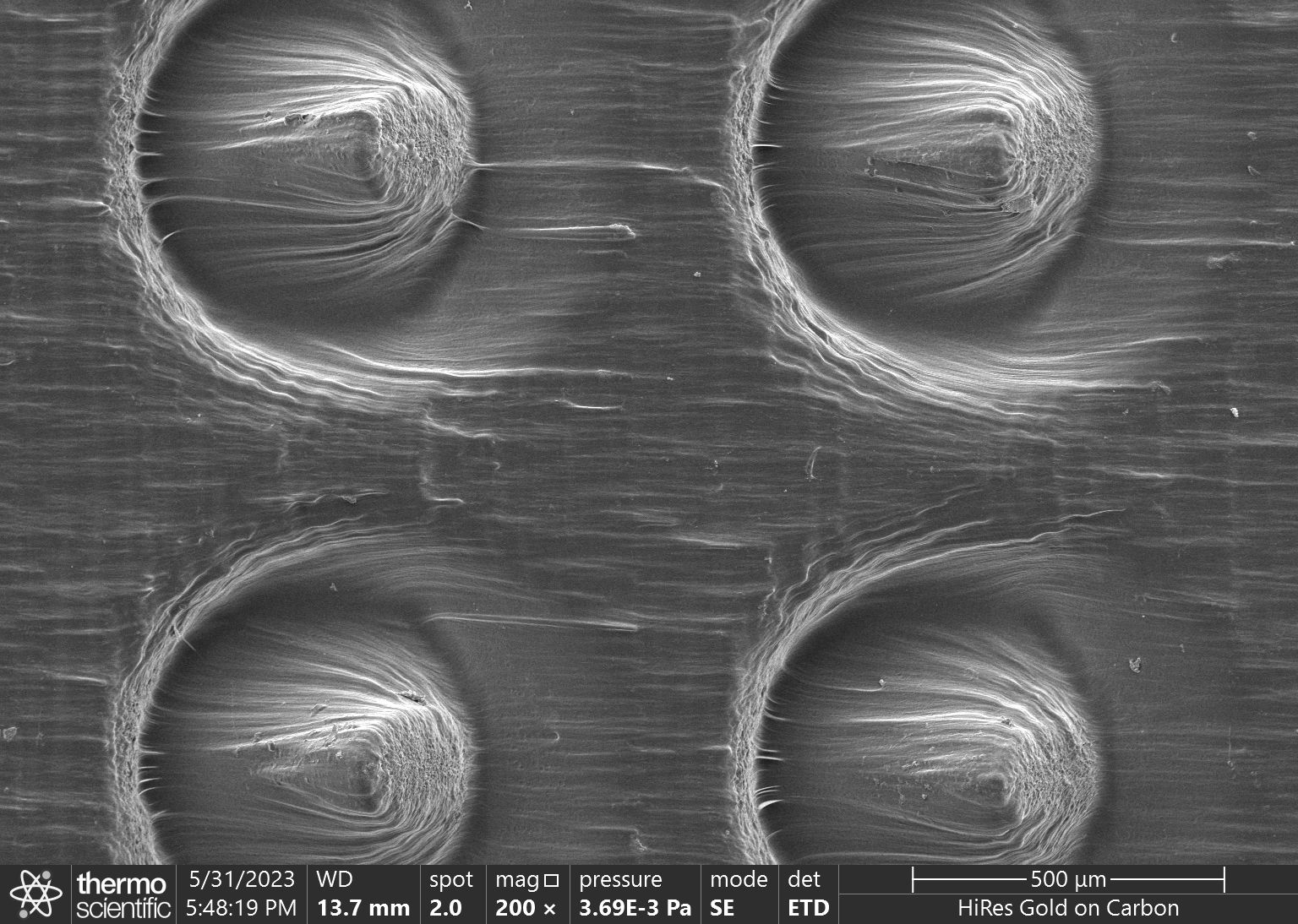 Self Photos / Files - biochip_001